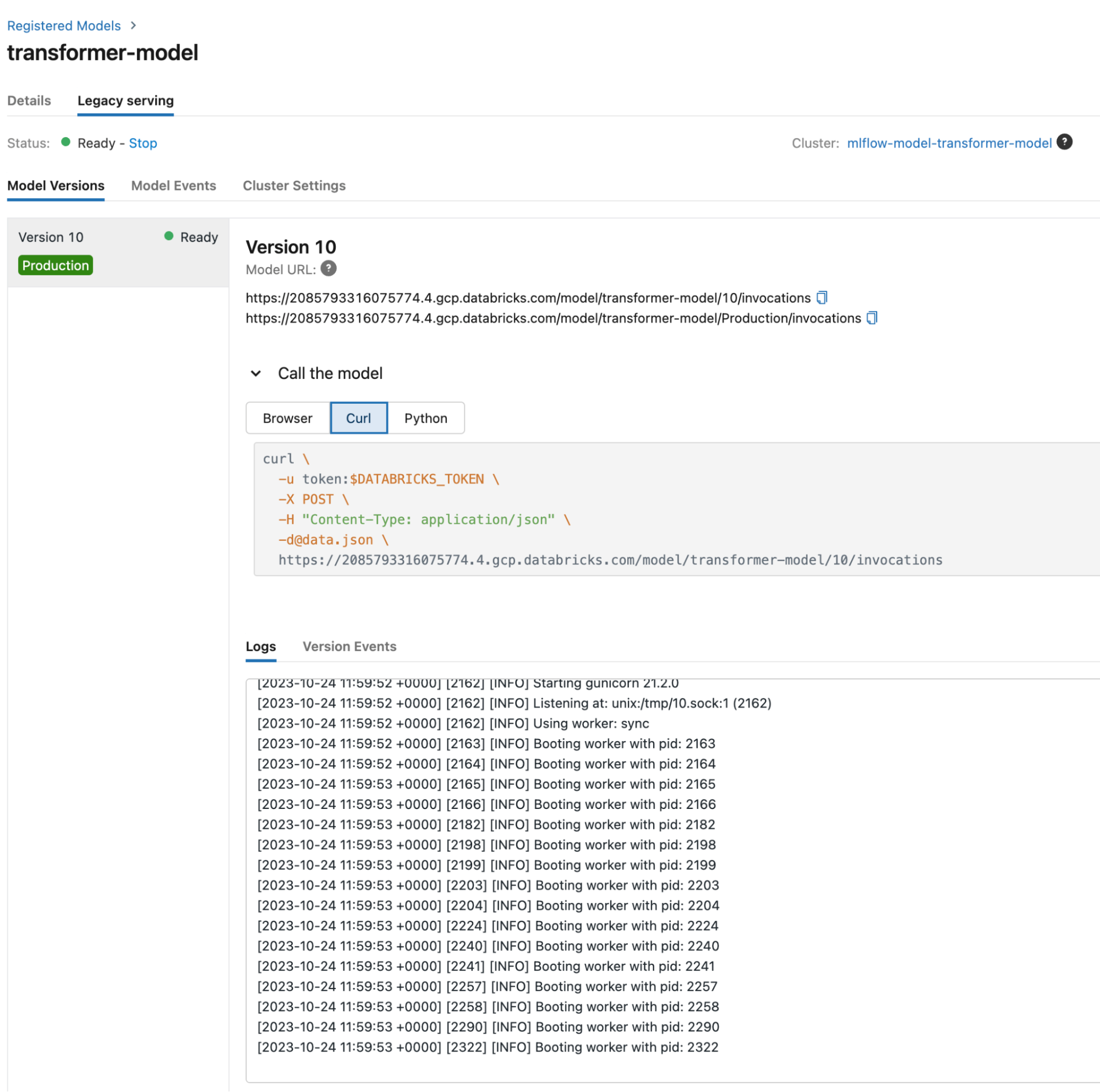 MLflow deployed model logs