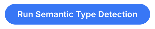Run Semantic Type Detection